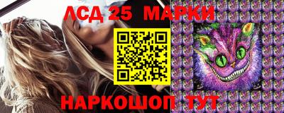 гидропоника Будённовск