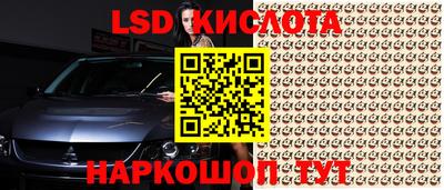 гидропоника Будённовск