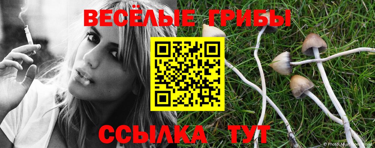 Галлюциногенные грибы Cubensis  Вход с VPN  Назрань  Галлюциногенные грибы MAGIC MUSHROOMS 